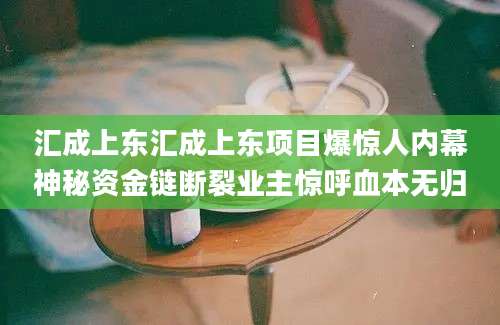 汇成上东汇成上东项目爆惊人内幕神秘资金链断裂业主惊呼血本无归