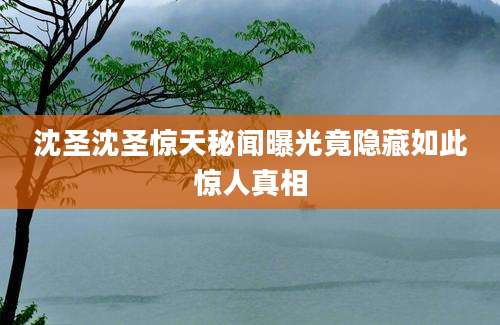 沈圣沈圣惊天秘闻曝光竟隐藏如此惊人真相