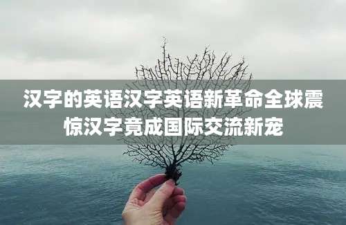 汉字的英语汉字英语新革命全球震惊汉字竟成国际交流新宠
