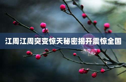 江周江周突变惊天秘密揭开震惊全国