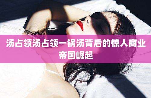 汤占领汤占领一锅汤背后的惊人商业帝国崛起