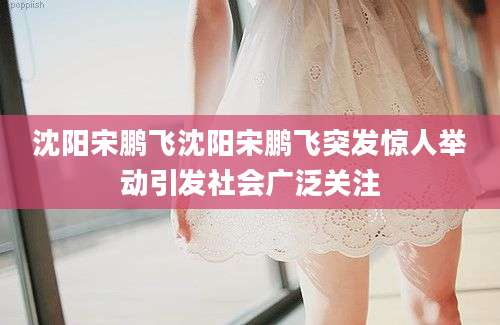 沈阳宋鹏飞沈阳宋鹏飞突发惊人举动引发社会广泛关注