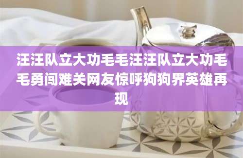 汪汪队立大功毛毛汪汪队立大功毛毛勇闯难关网友惊呼狗狗界英雄再现