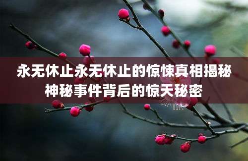 永无休止永无休止的惊悚真相揭秘神秘事件背后的惊天秘密
