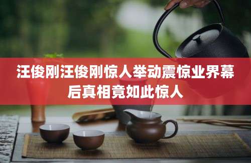 汪俊刚汪俊刚惊人举动震惊业界幕后真相竟如此惊人