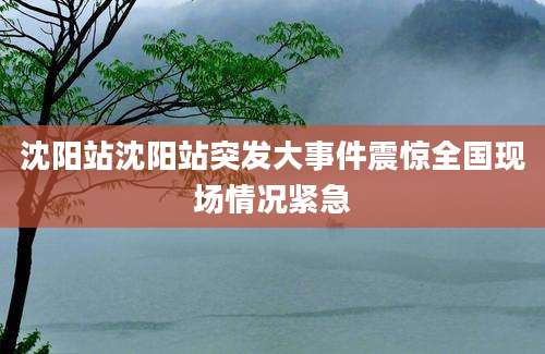 沈阳站沈阳站突发大事件震惊全国现场情况紧急