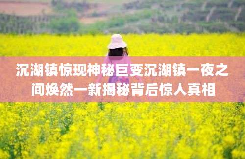 沉湖镇惊现神秘巨变沉湖镇一夜之间焕然一新揭秘背后惊人真相