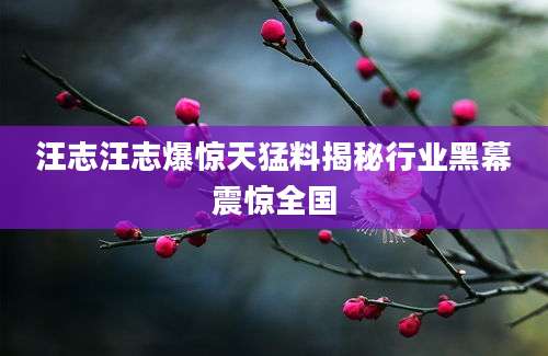 汪志汪志爆惊天猛料揭秘行业黑幕震惊全国