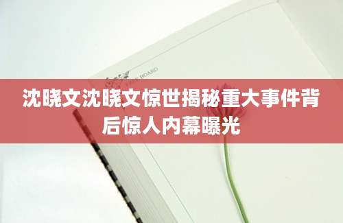沈晓文沈晓文惊世揭秘重大事件背后惊人内幕曝光