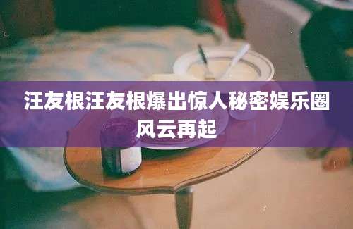 汪友根汪友根爆出惊人秘密娱乐圈风云再起