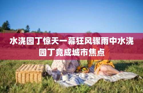 水浇园丁惊天一幕狂风骤雨中水浇园丁竟成城市焦点
