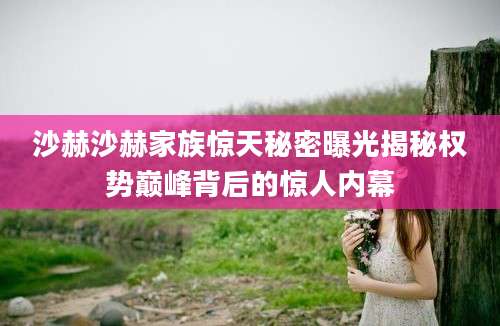沙赫沙赫家族惊天秘密曝光揭秘权势巅峰背后的惊人内幕