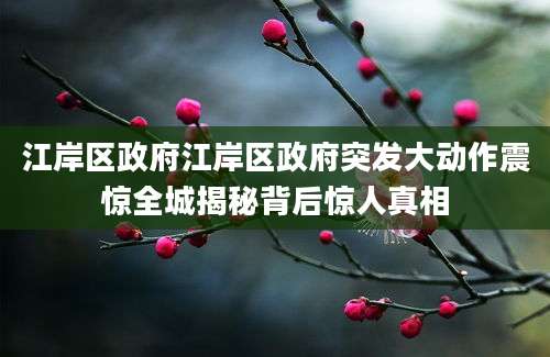 江岸区政府江岸区政府突发大动作震惊全城揭秘背后惊人真相