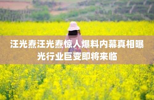 汪光焘汪光焘惊人爆料内幕真相曝光行业巨变即将来临