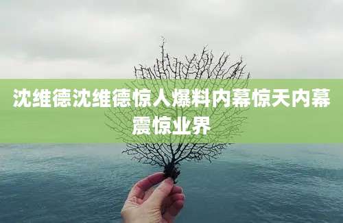 沈维德沈维德惊人爆料内幕惊天内幕震惊业界