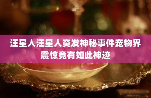 汪星人汪星人突发神秘事件宠物界震惊竟有如此神迹