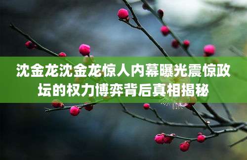 沈金龙沈金龙惊人内幕曝光震惊政坛的权力博弈背后真相揭秘