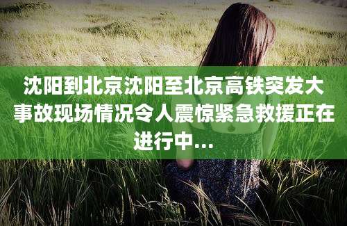 沈阳到北京沈阳至北京高铁突发大事故现场情况令人震惊紧急救援正在进行中...