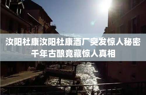 汝阳杜康汝阳杜康酒厂突发惊人秘密千年古酿竟藏惊人真相