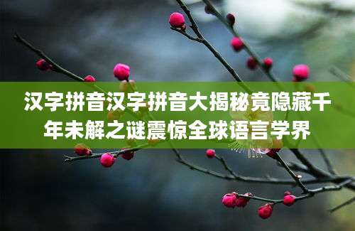 汉字拼音汉字拼音大揭秘竟隐藏千年未解之谜震惊全球语言学界
